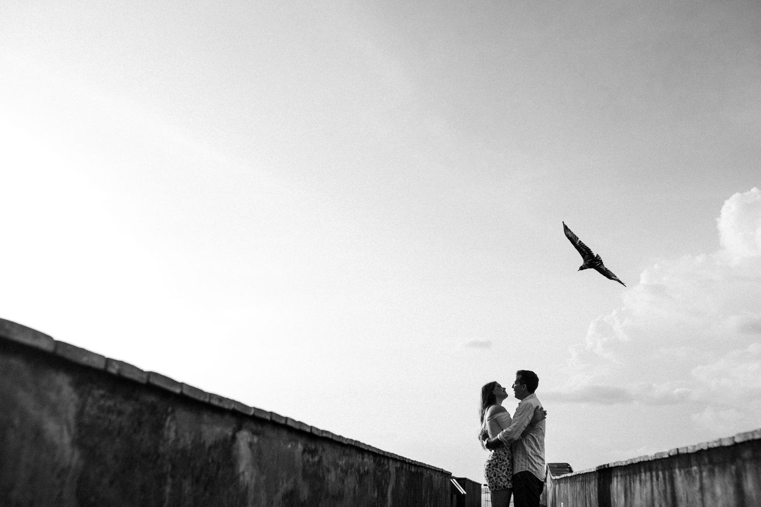 Birds soar through a cloudy sky above a silhouetted cityscape, creating a dramatic black and white scene.