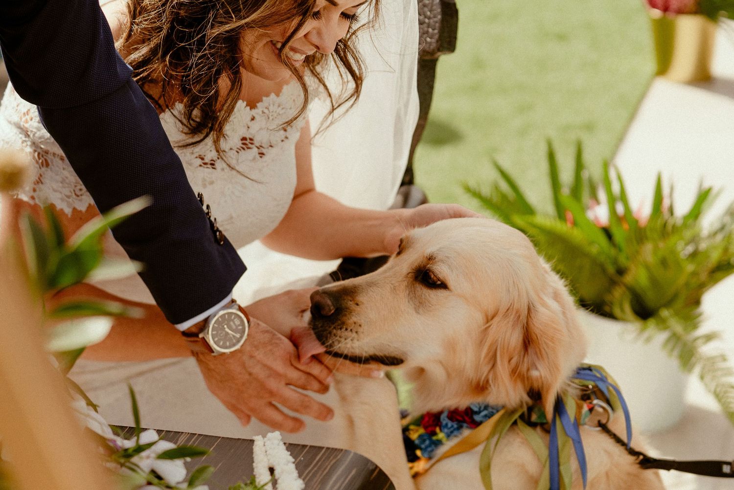 A couple and their golden retriever dog pose together in an outdoor garden setting during a photo session.