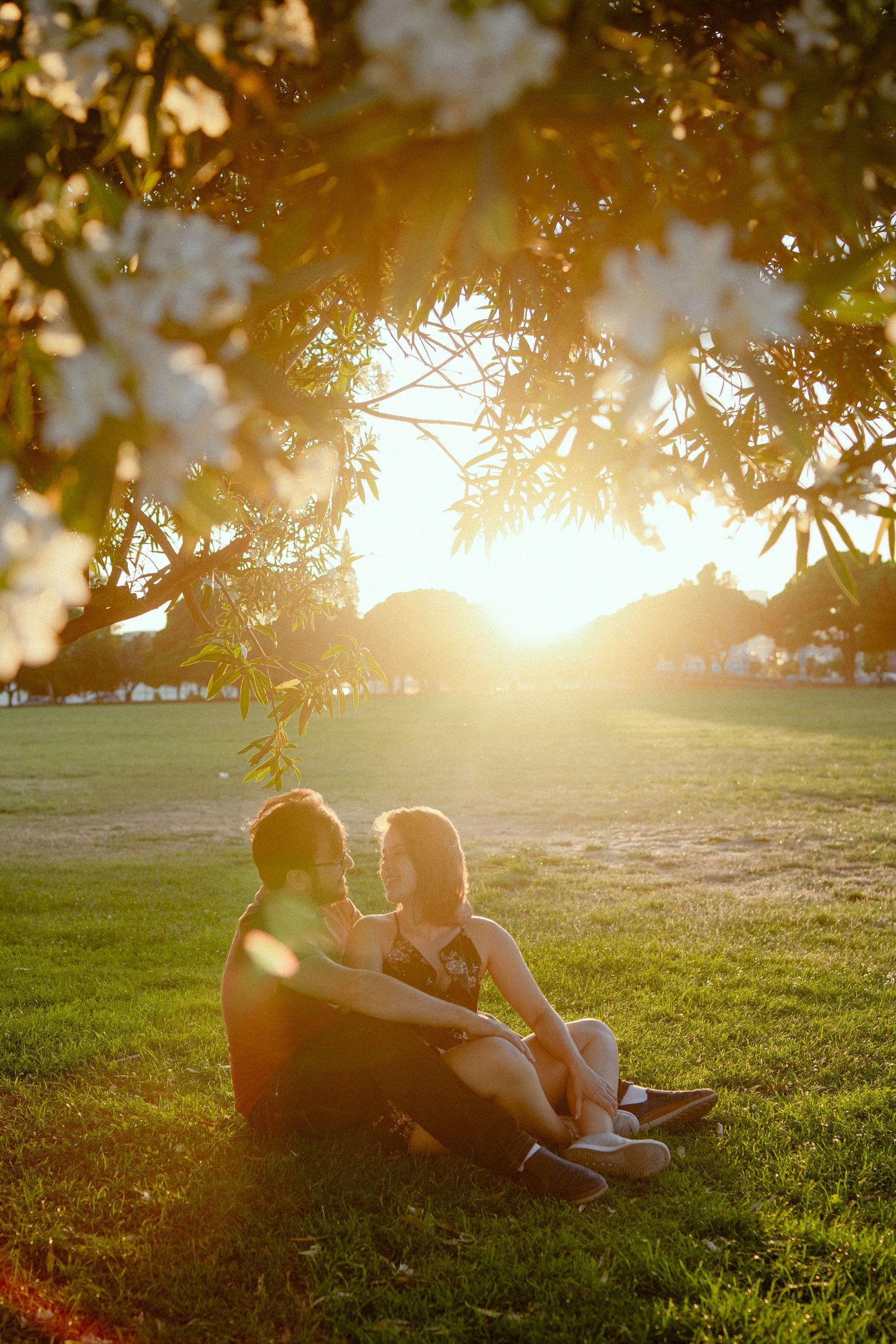 A couple reclines on grassy lawn during golden sunset, backlit by warm sunlight filtering through tree branches.
