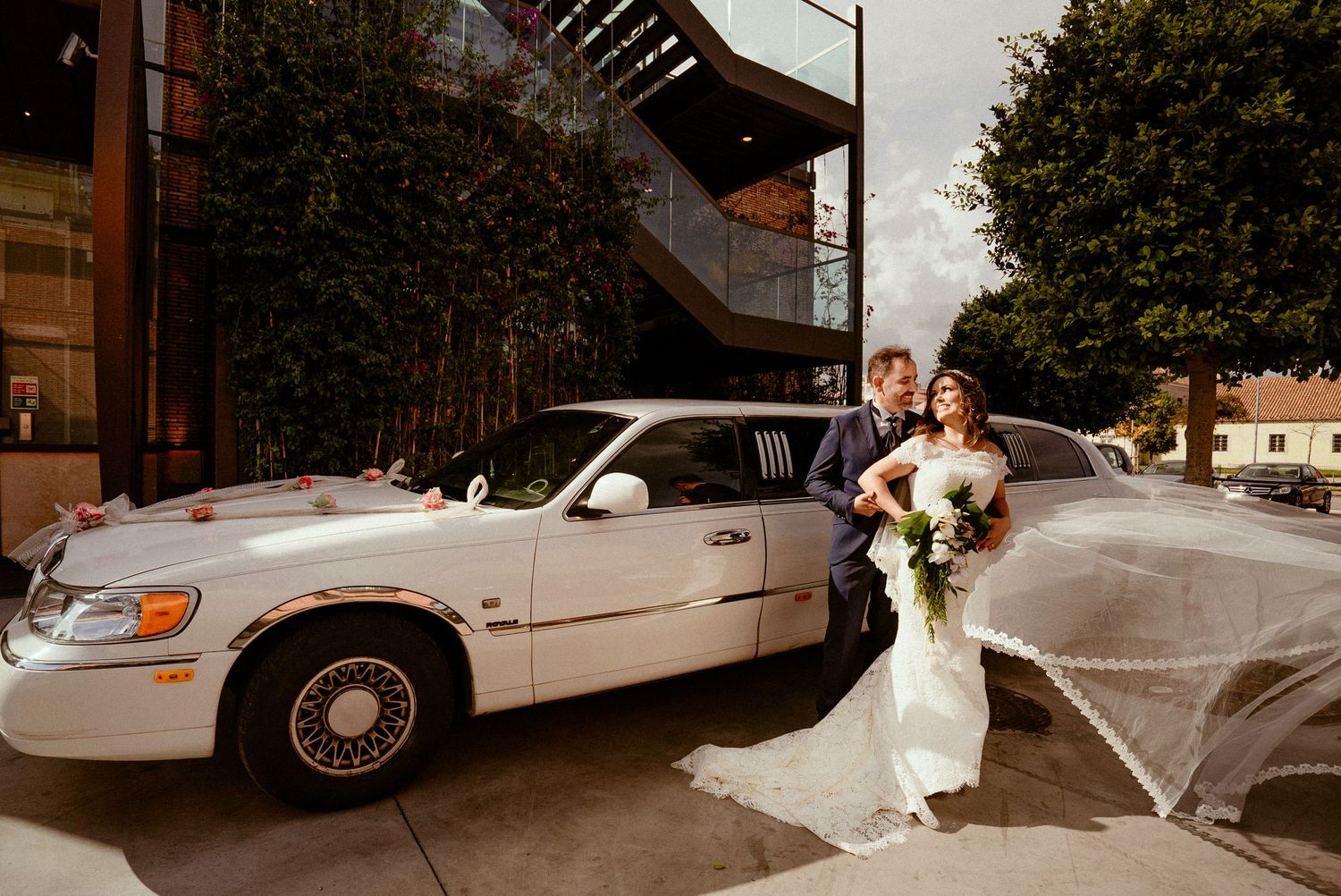 Two white limousine vehicles parked side by side in a formal event setting.