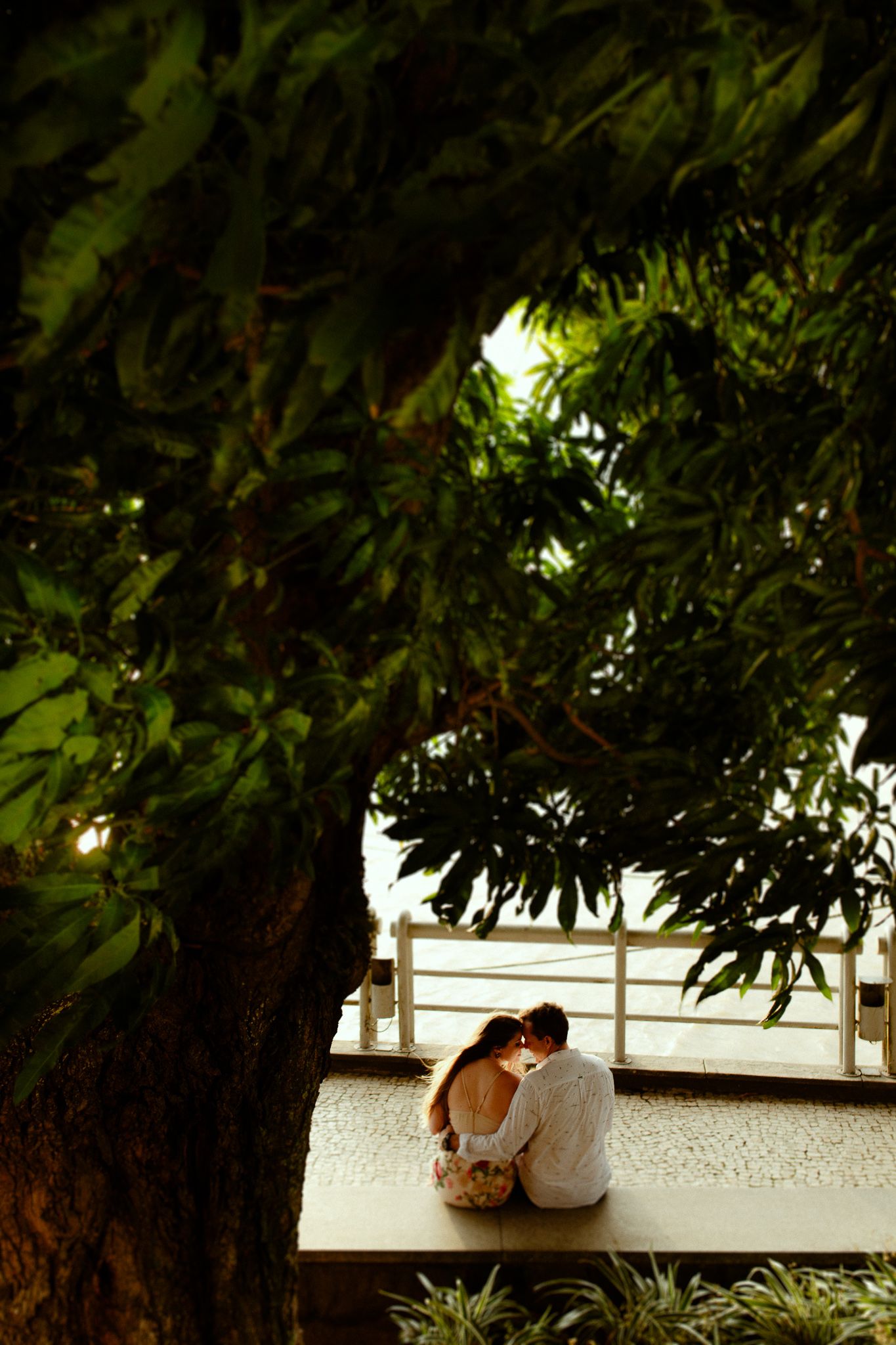 A couple sits together on a white bench under the shade of a large tree in a peaceful garden setting.