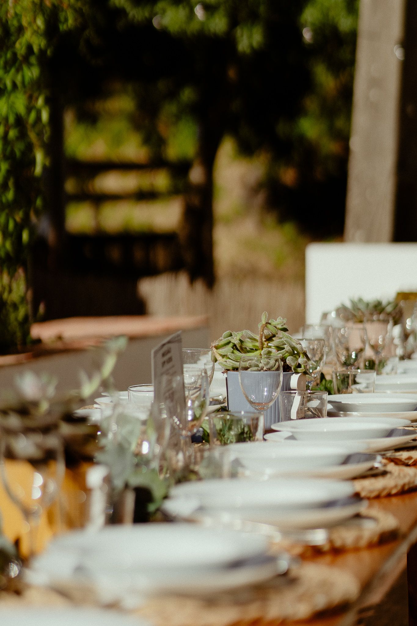 Elegant outdoor dining table set with white plates, succulents, and glassware for a rustic garden wedding reception.