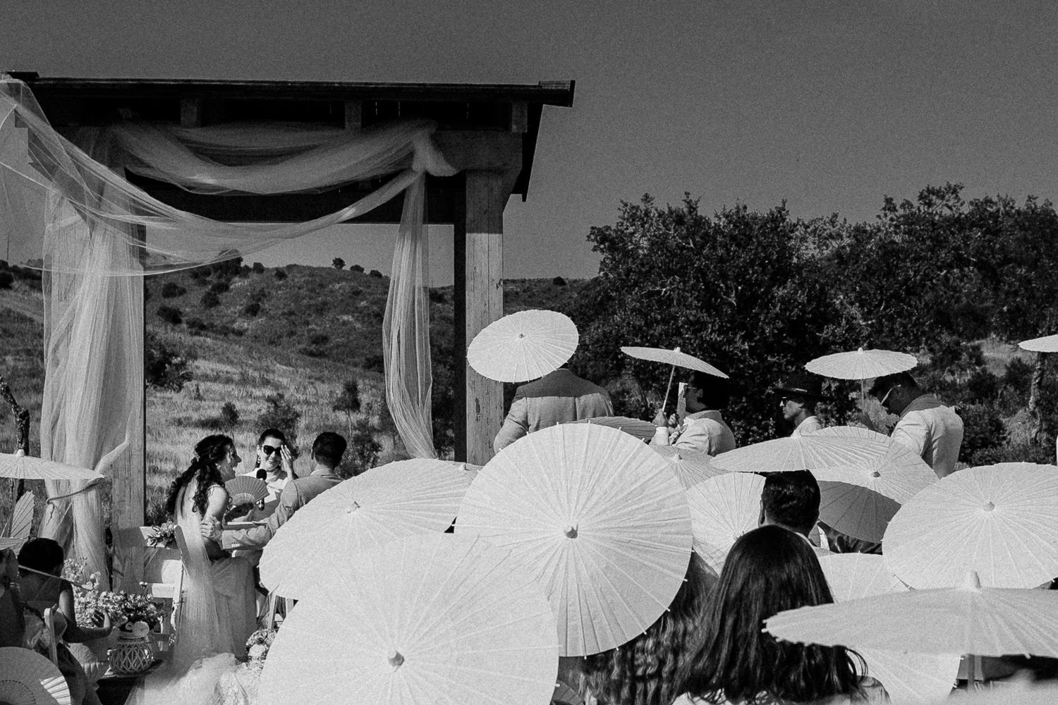 Black and white photo of wedding guests holding white parasols outdoors at a rustic vineyard ceremony.