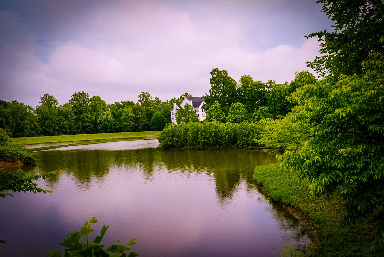 Nature