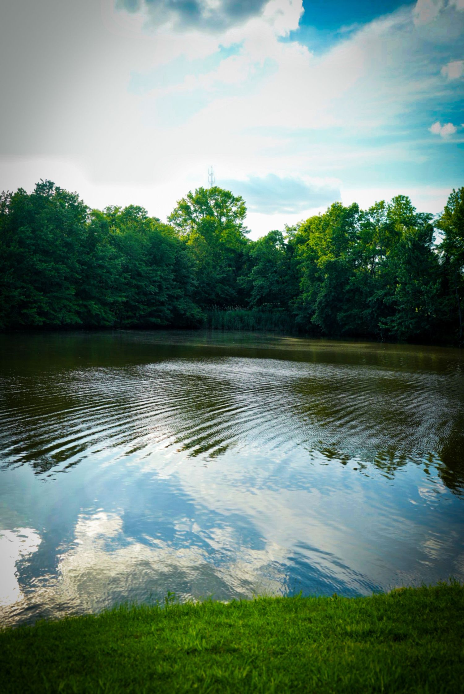 Nature