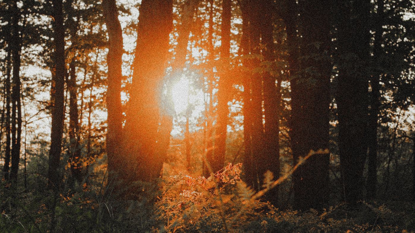 rural sunset summer landscape