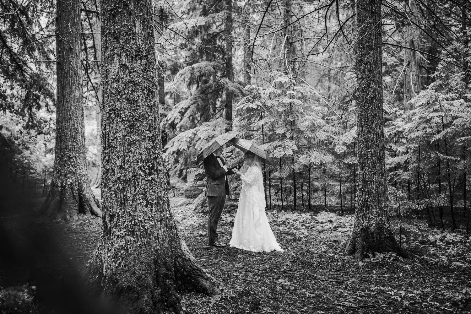 Autumn and Robin's Kalispell MT Adventure Session at Trail of The Cedars
