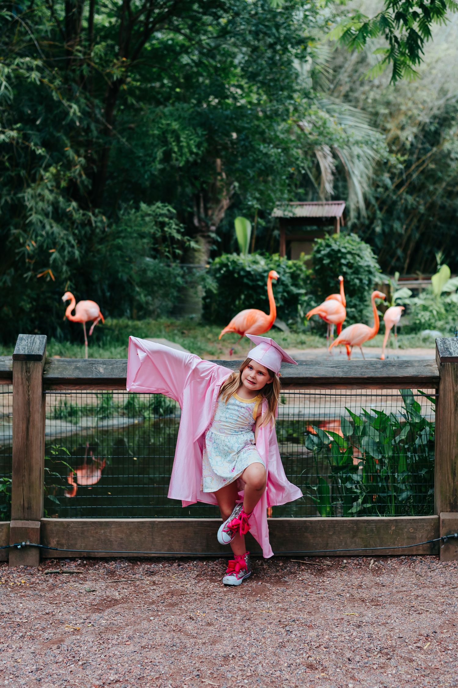 Kindergarten girl wearing pink graduation cap and gown balancing on one foot in front of flamingos at Riverbanks Zoo in Columbia, SC