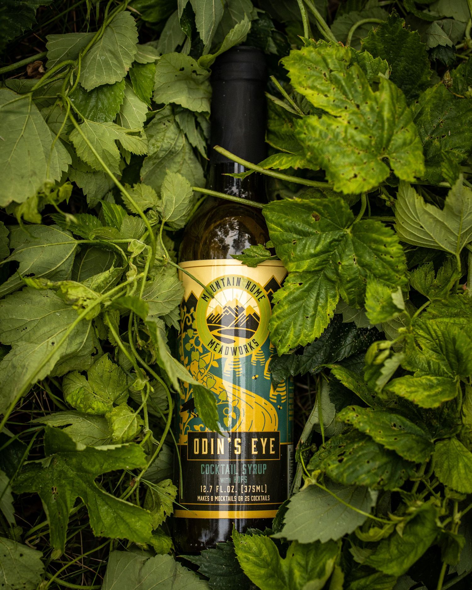 Dark bottle of Lion's Eye liqueur nestled among lush green foliage in natural lighting.