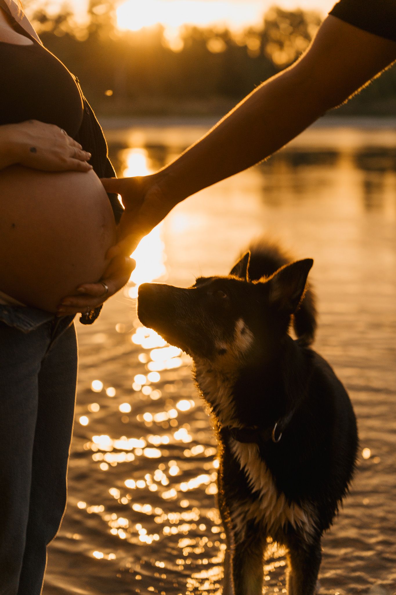 Pregnant woman petting a dog by a shimmering lake at golden sunset, showcasing a serene maternity moment outdoors.