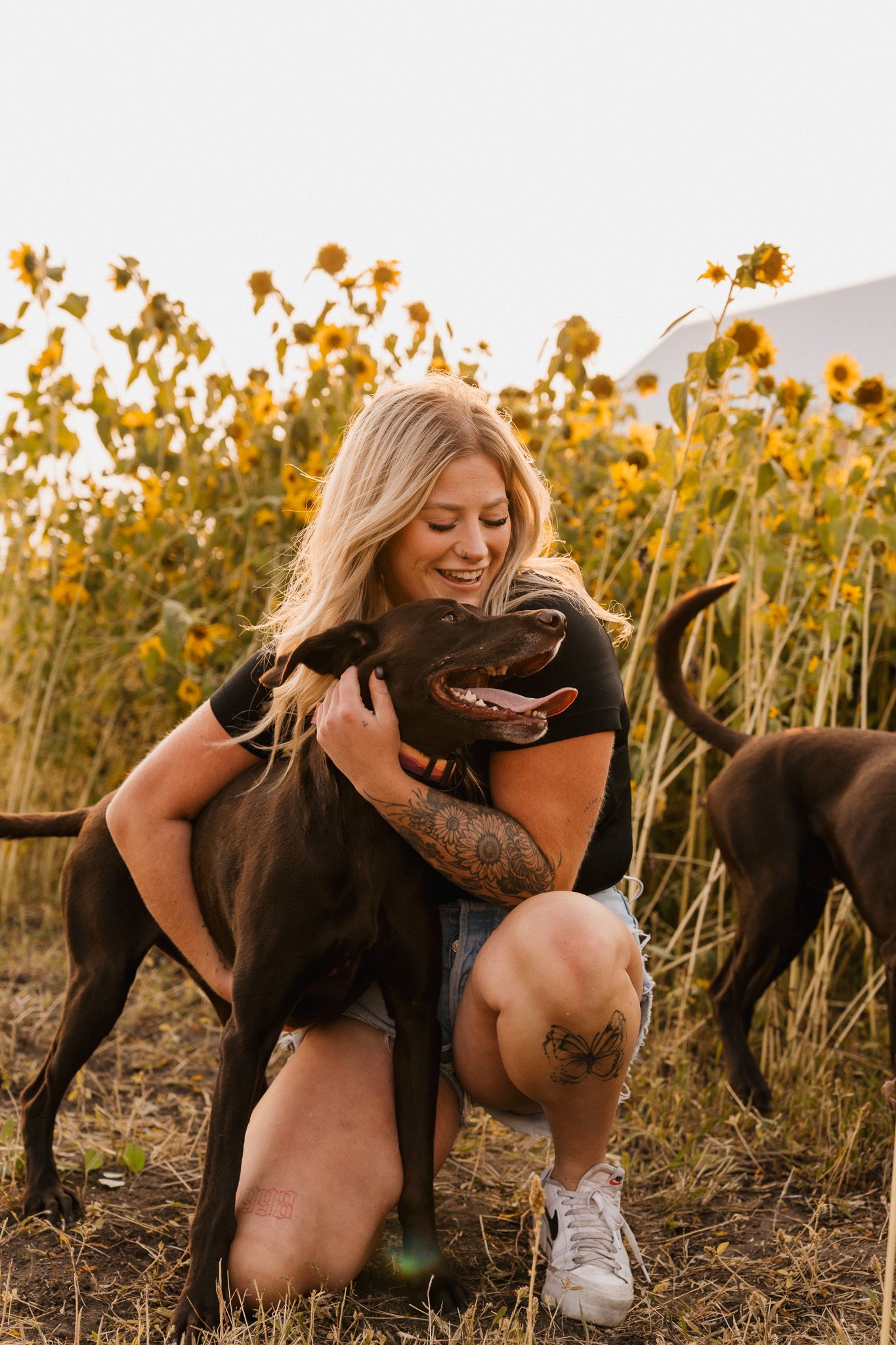 Smiling blonde woman with tattoos hugging a chocolate Labrador in a sunflower field.