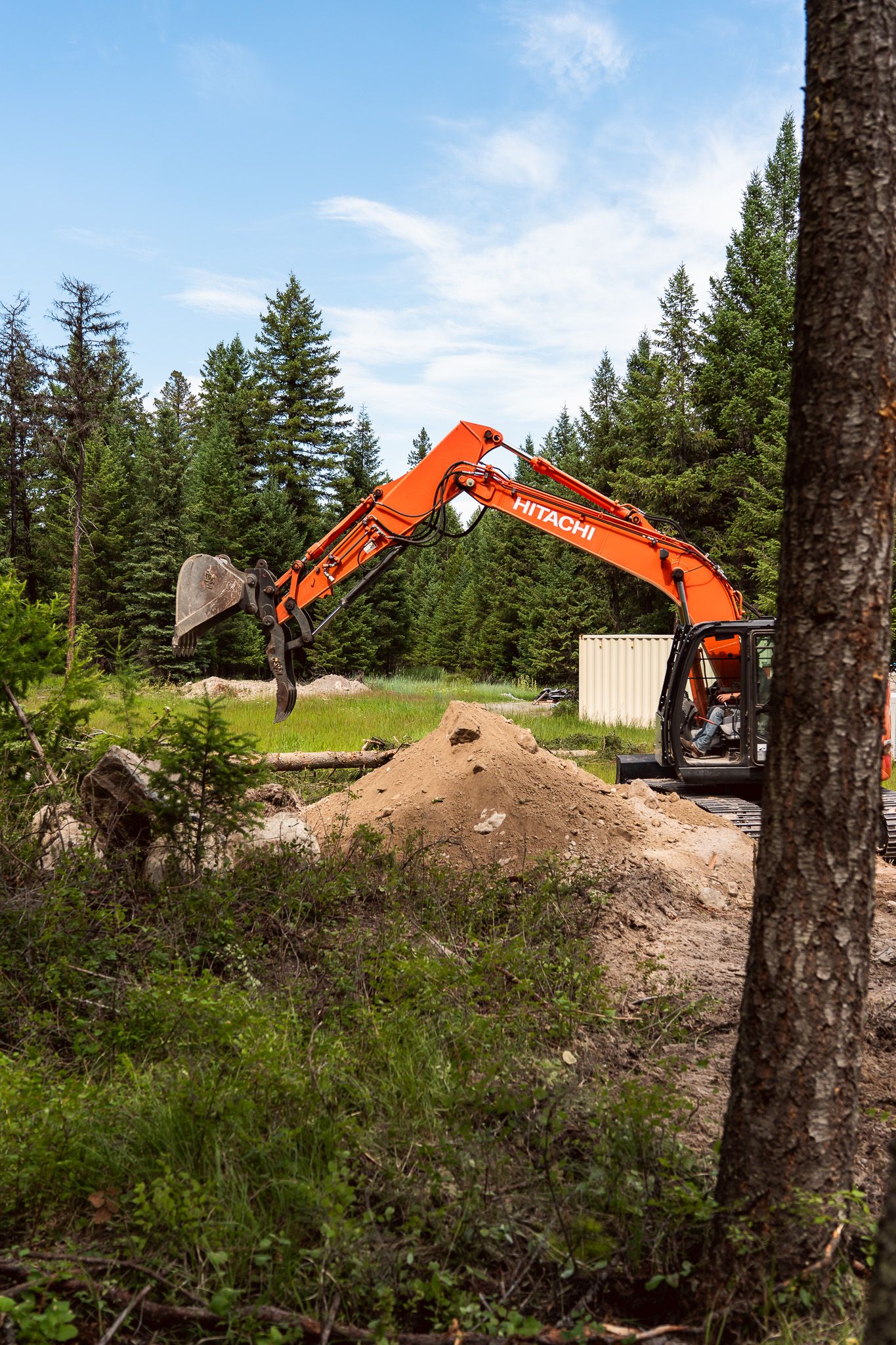 Orange construction excavators working on a dirt site surrounded by evergreen trees.