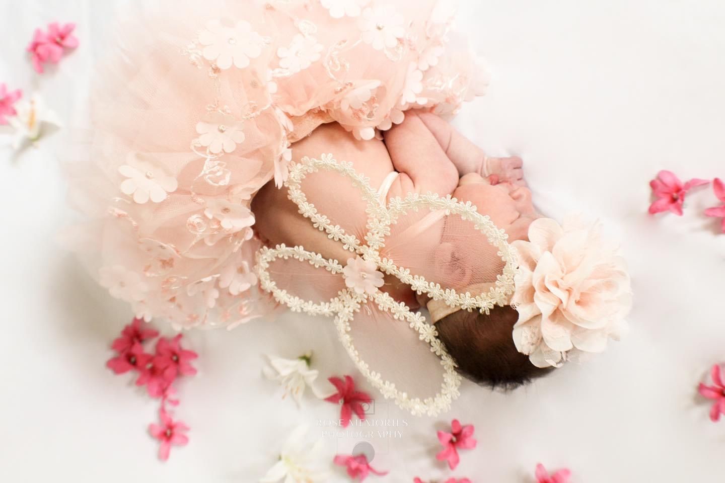Delicate pink carnation flowers with soft petals create a romantic and dreamy backdrop.