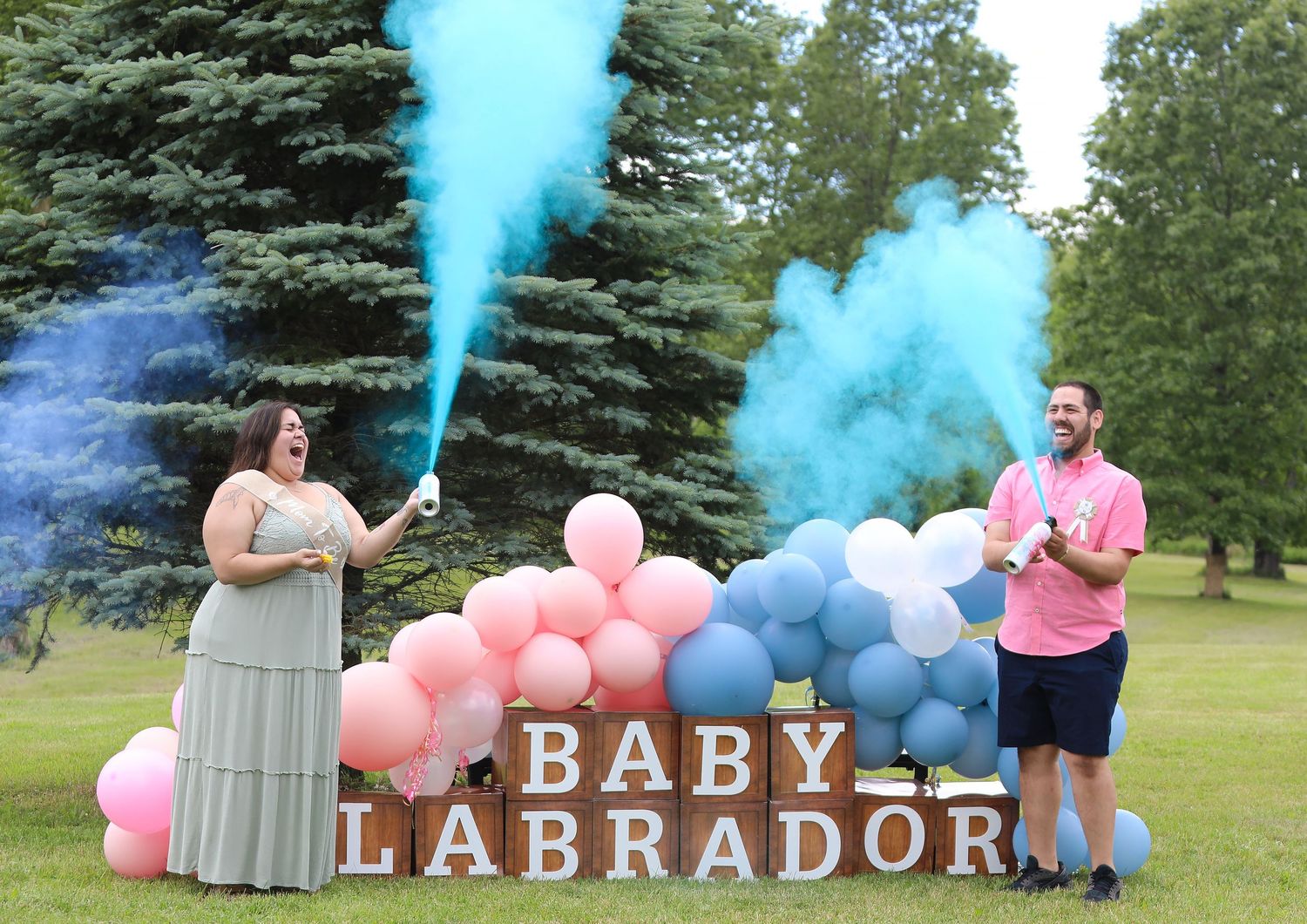 Gender reveal party with blue and pink smoke cannons beside a Baby Labrador balloon sign outdoors.