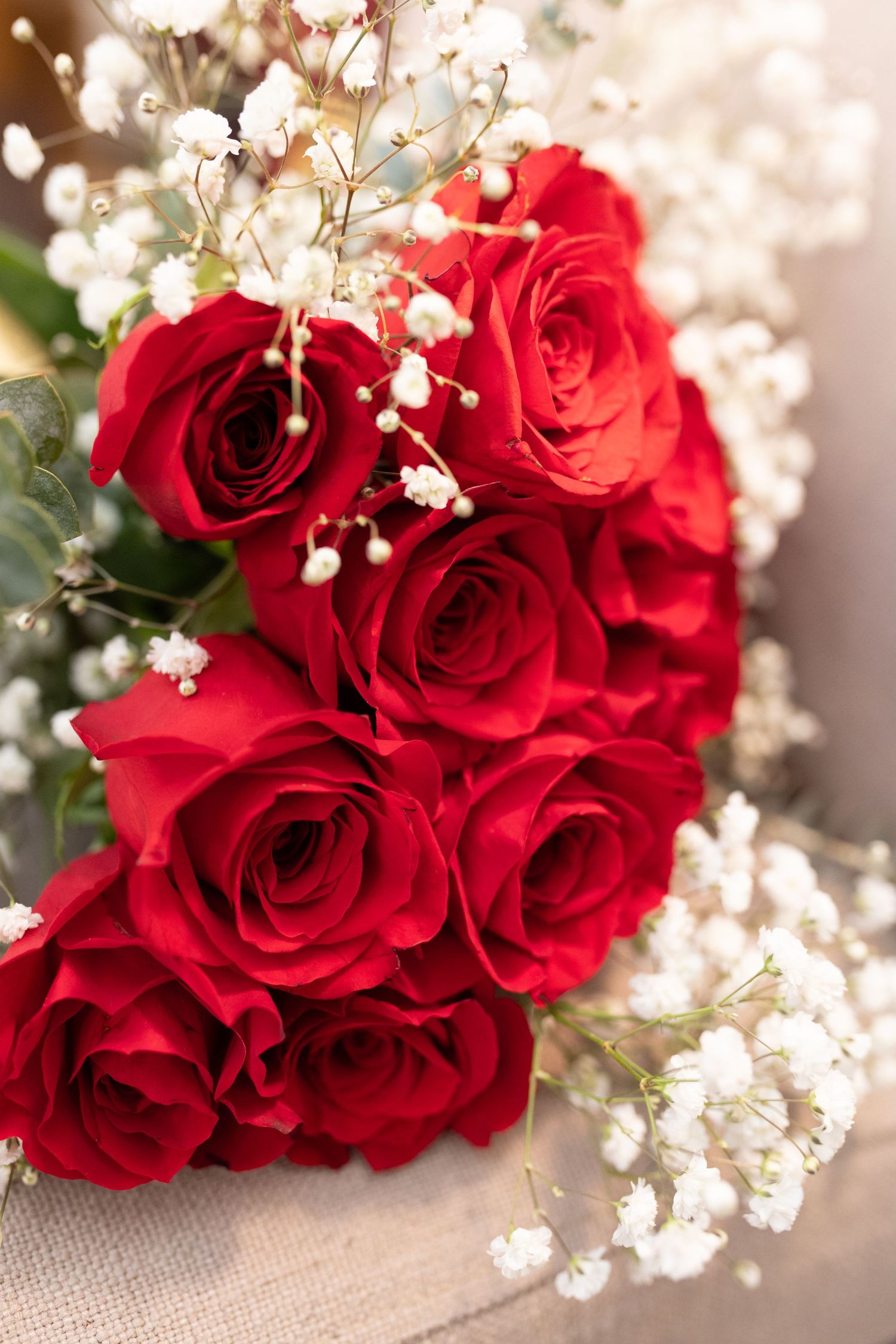 Beautiful red roses arranged with delicate baby's breath flowers against a soft blurred background.