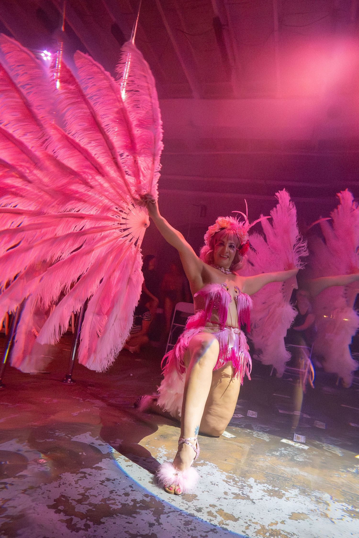 Burlesque dancer in pink feathered costume performs with large feather fans on stage.