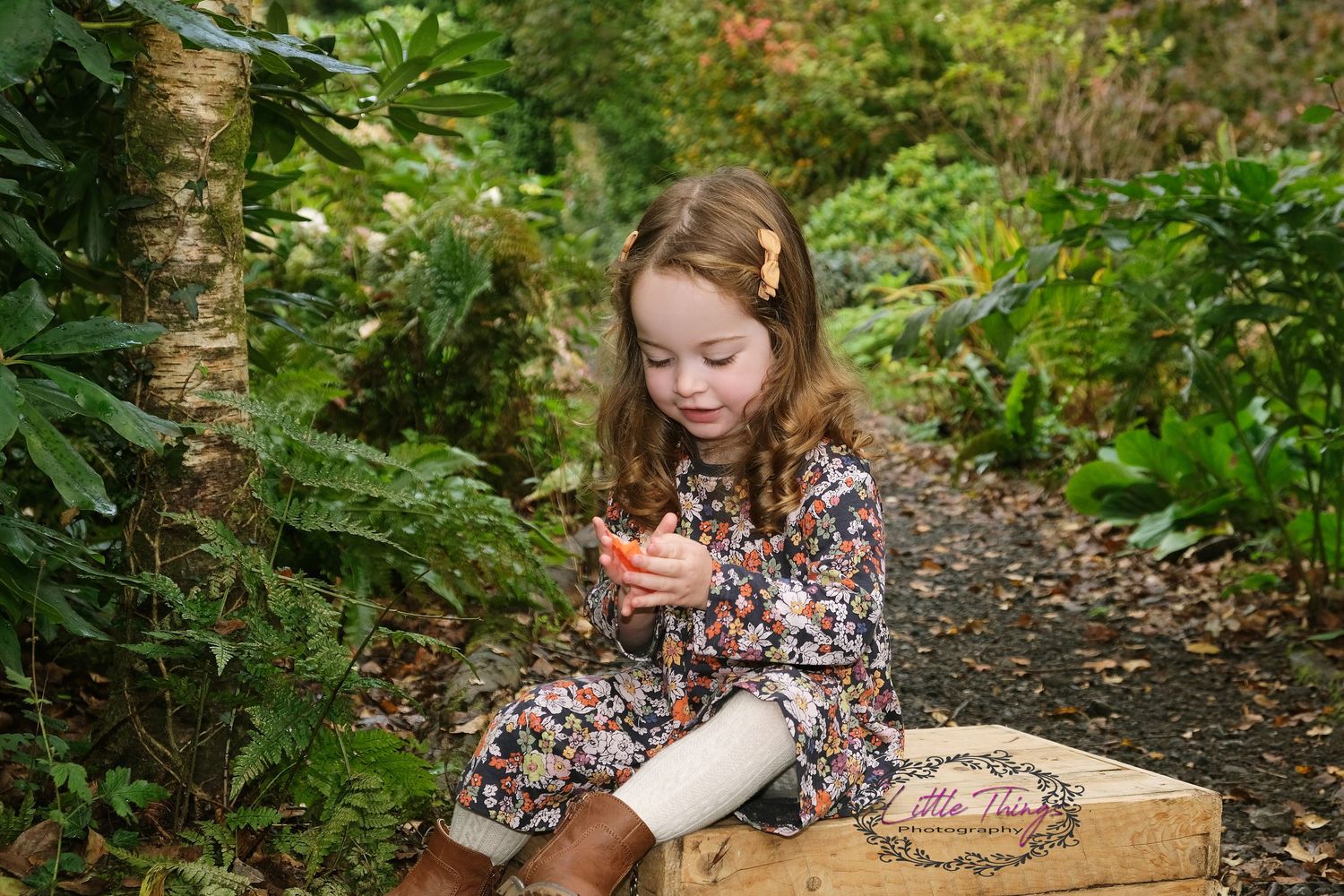 Outdoor photography. Swansea. Woodland