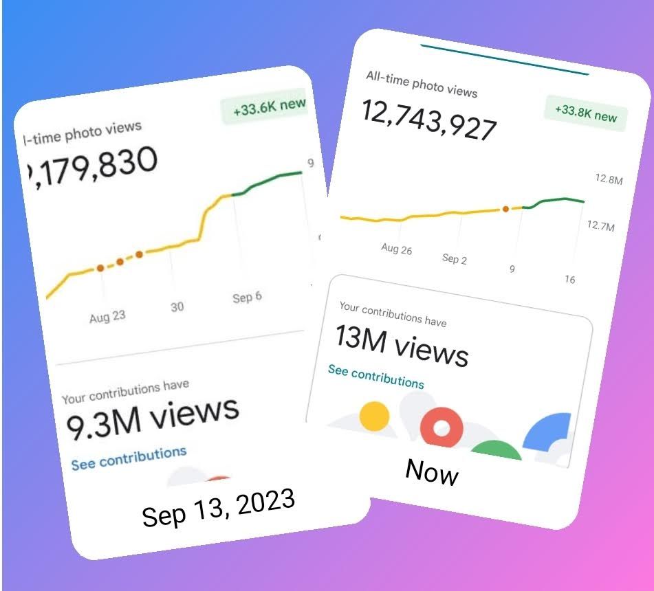 Google review growth from 9M to 13M views, showing strong search-driven content performance