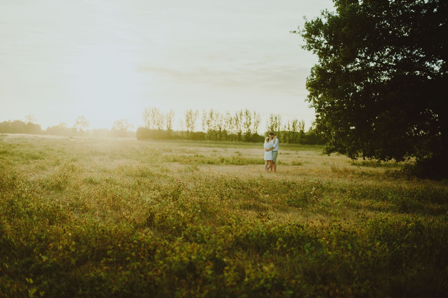 A scenic panoramic view of a misty meadow at sunrise with golden light filtering through trees.