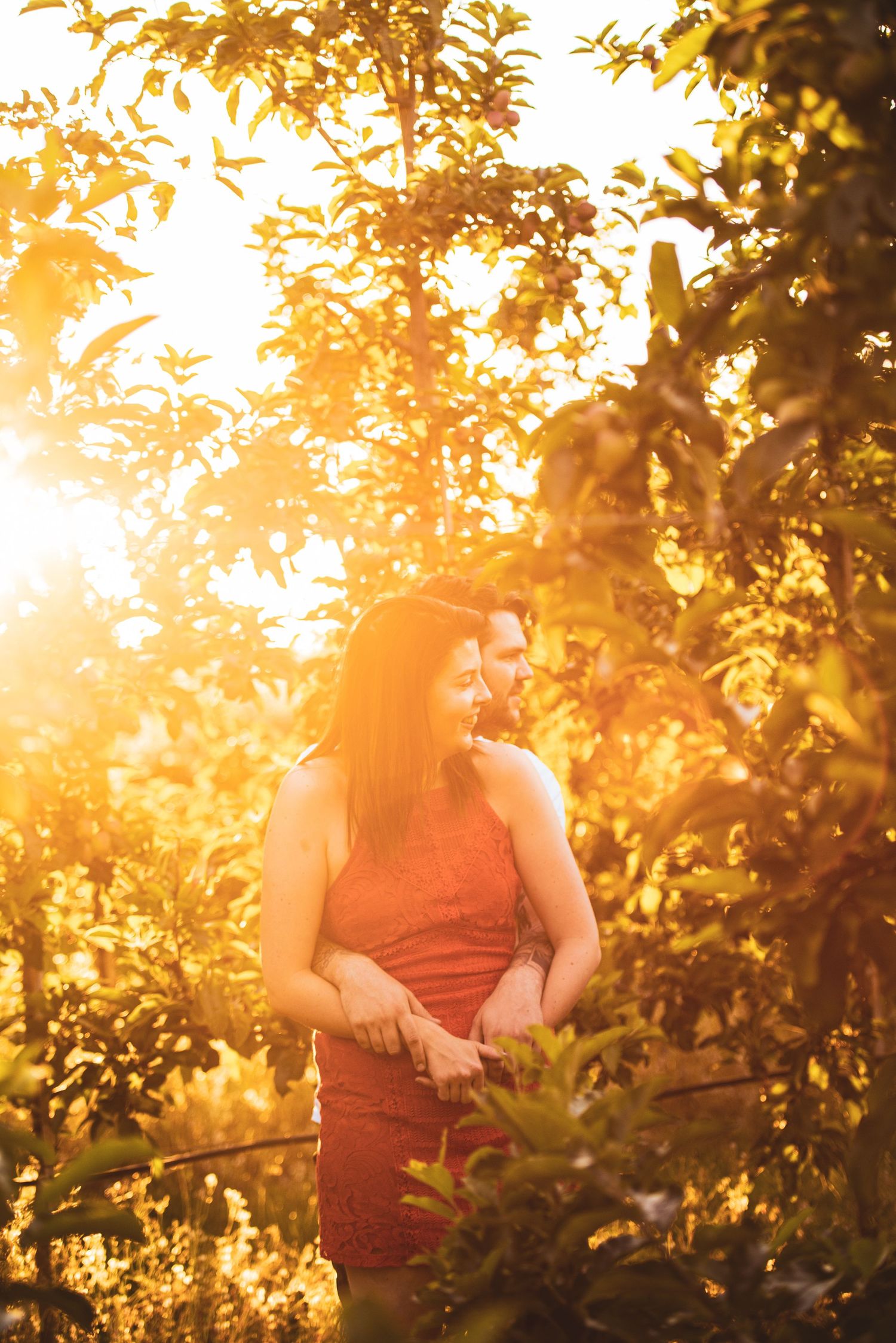 Sunlit portrait through tree leaves with golden sunset light creating a dreamy atmosphere.
