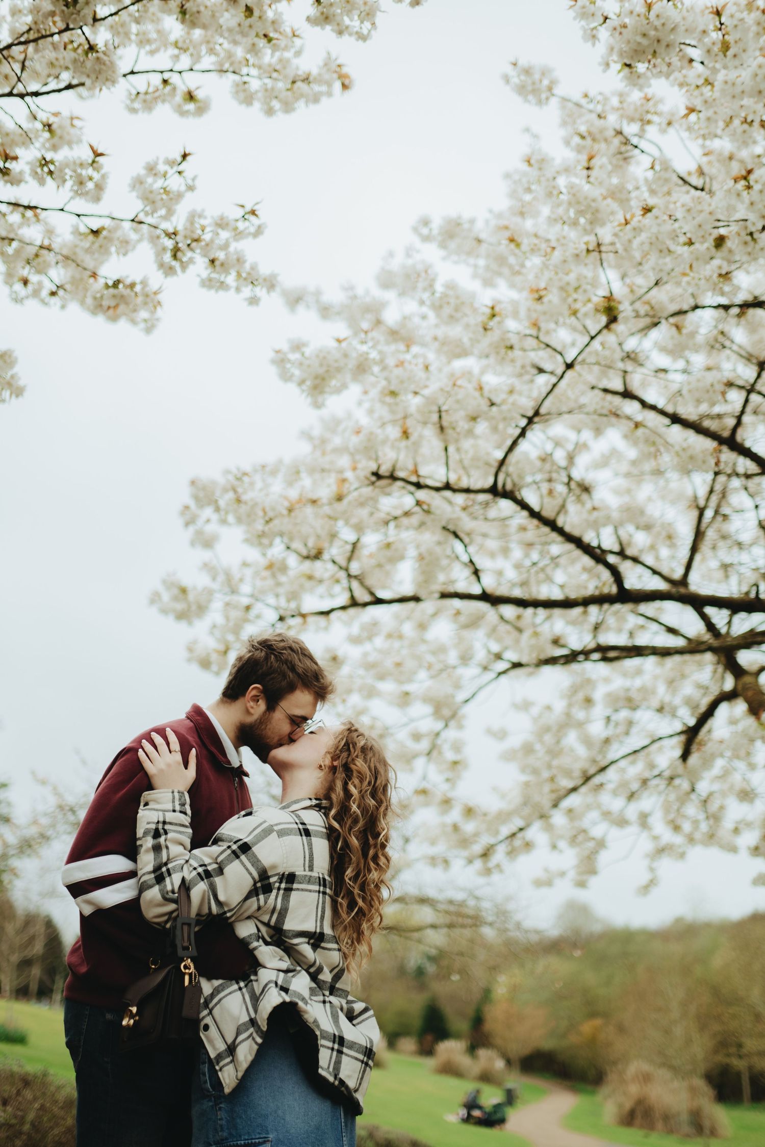 Couple kissing under blooming white cherry blossom tree in a lush green park during spring.