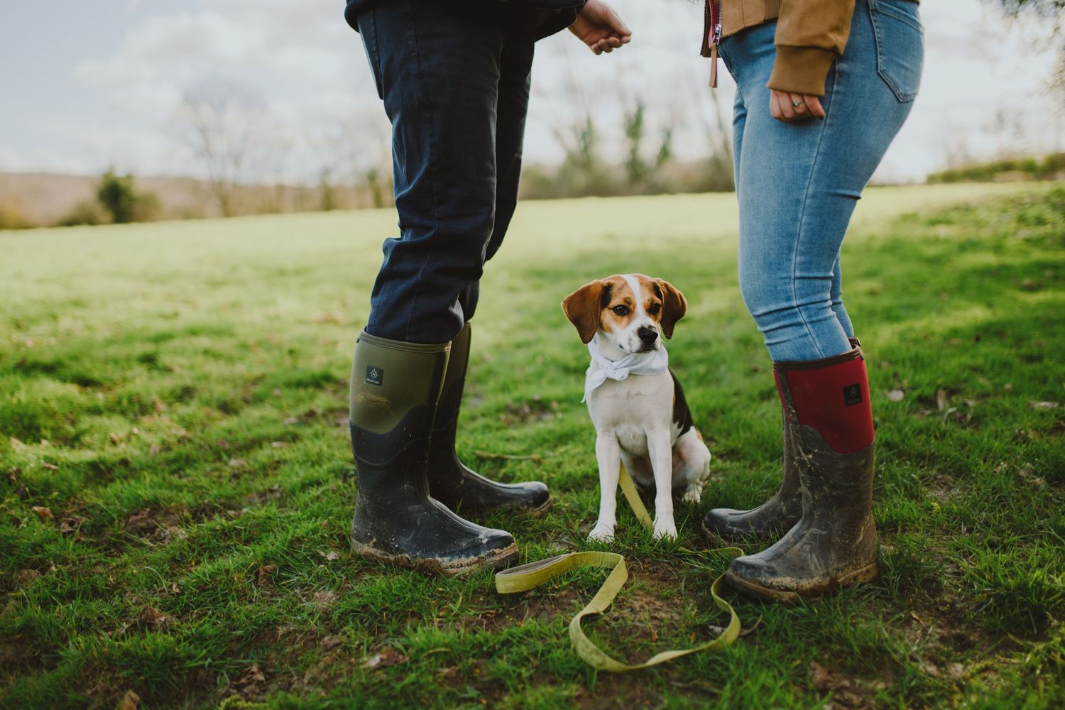 A series of cropped photos showing feet and legs of people standing with a small dog on grassy ground outdoors.