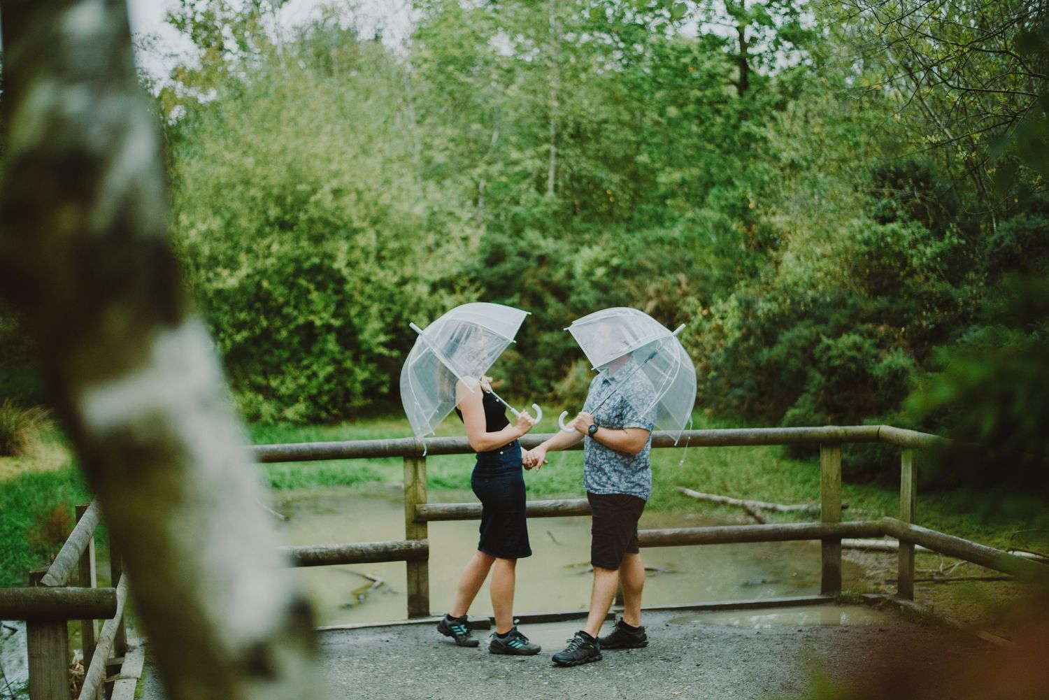 Two people with clear umbrellas stand together on a wooden boardwalk surrounded by lush green forest.