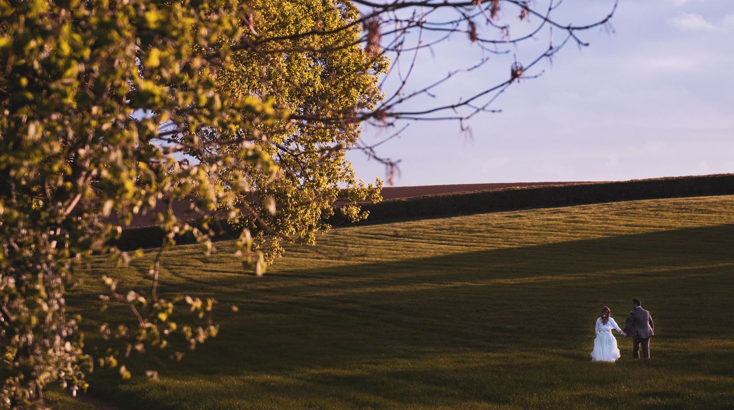 Golden autumn trees line a rolling hillside during sunset.