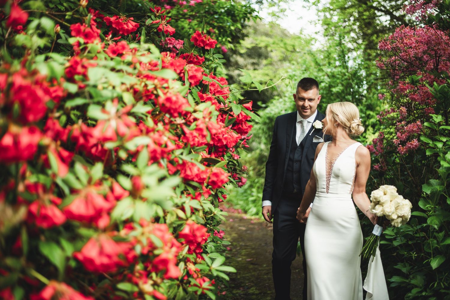 Romantic wedding photos captured in a vibrant garden setting with blooming red roses and lush greenery as backdrop.