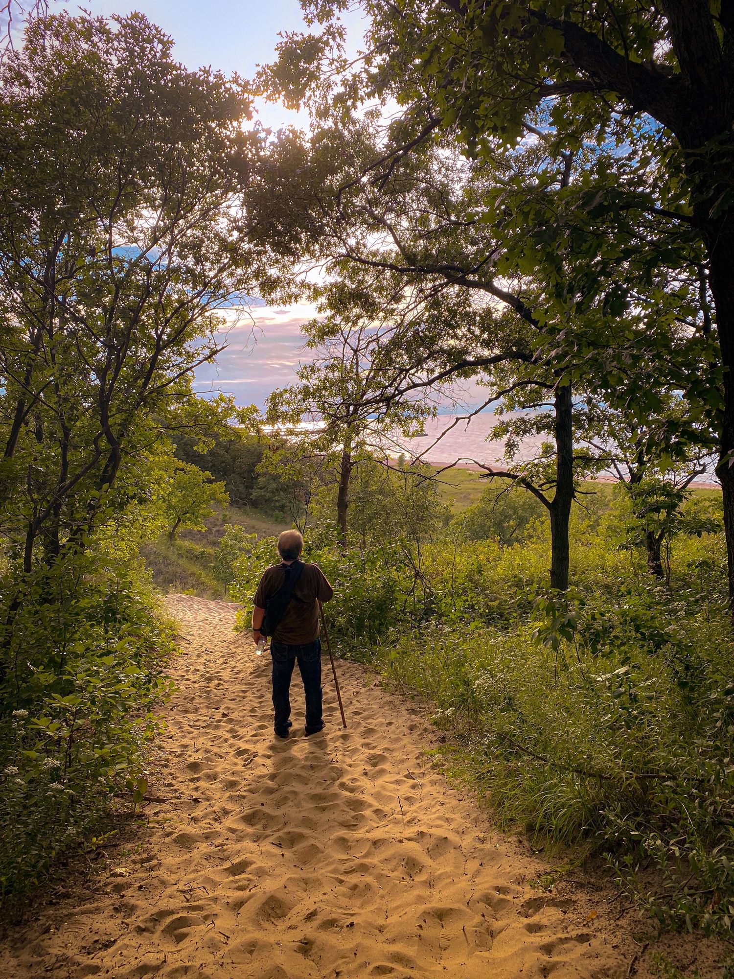 A lone hiker walks a sandy forest trail toward a sunlit lake vista surrounded by lush green trees.