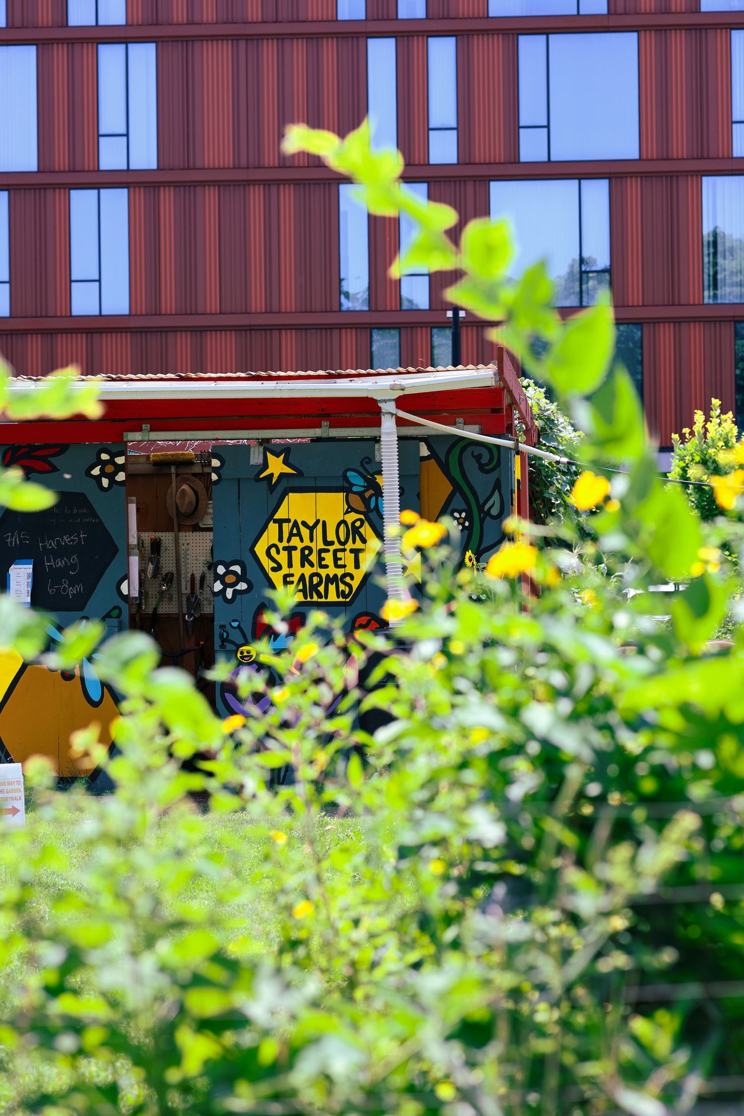 Colorful Taylor Street Farms market stand surrounded by lush green foliage with a modern red brick building backdrop.