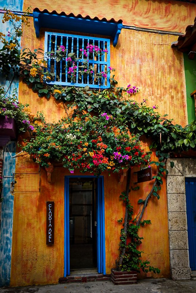 Colorful yellow building with blue door and bougainvillea, Cartagena Colombia