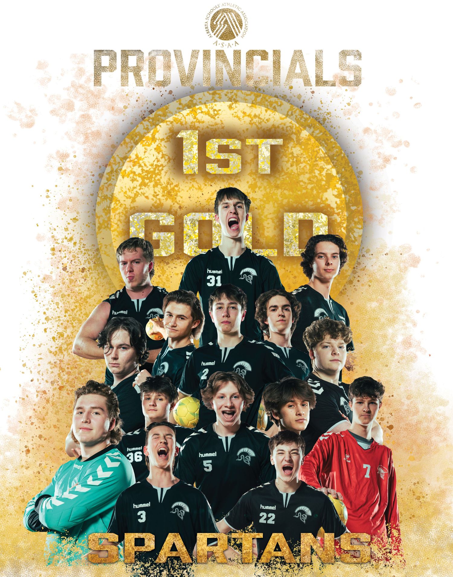 Sports team photo banner showing Provincials champions with gold effect overlay.