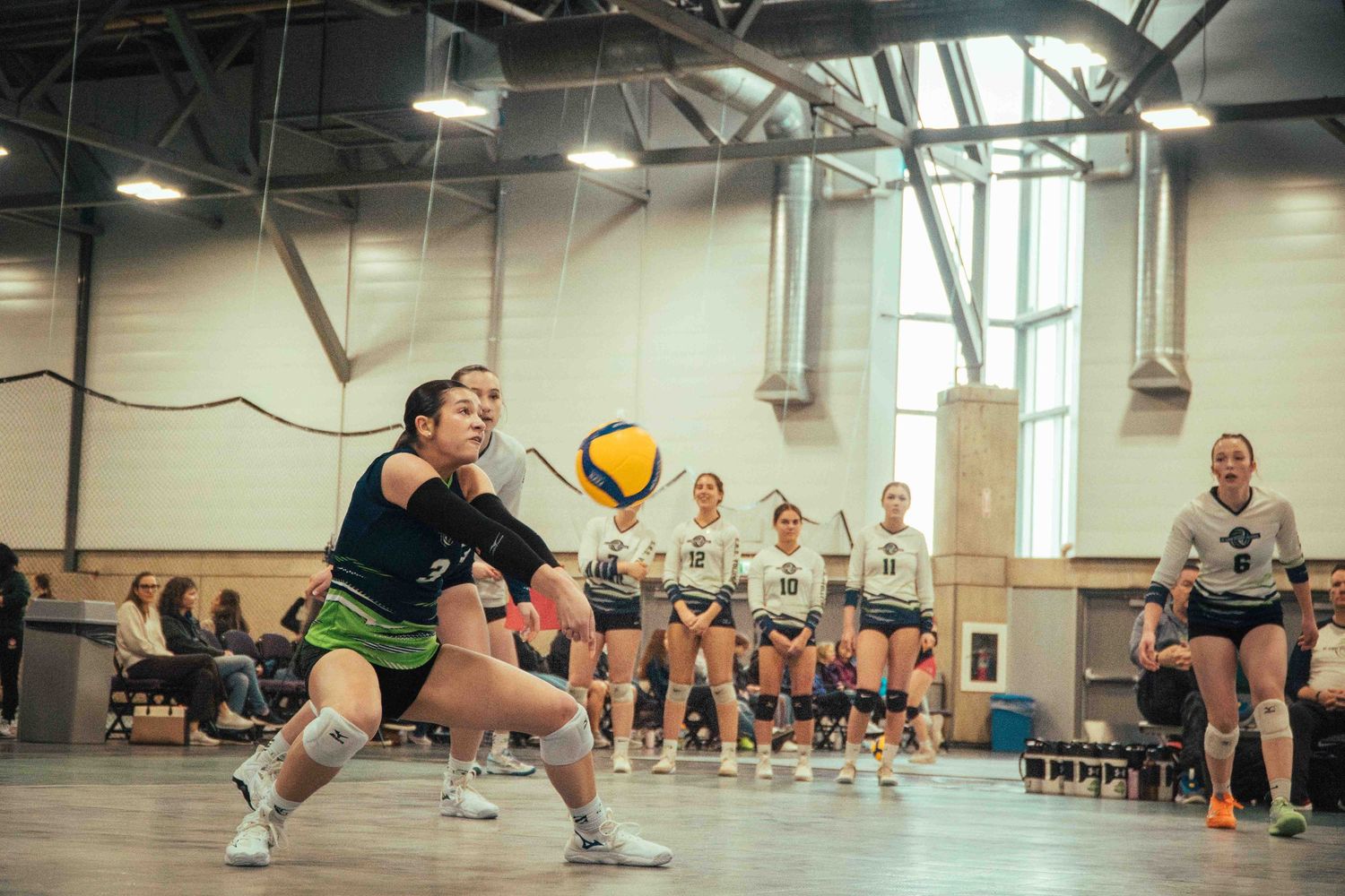 Indoor volleyball player in low defensive stance preparing to receive the ball.