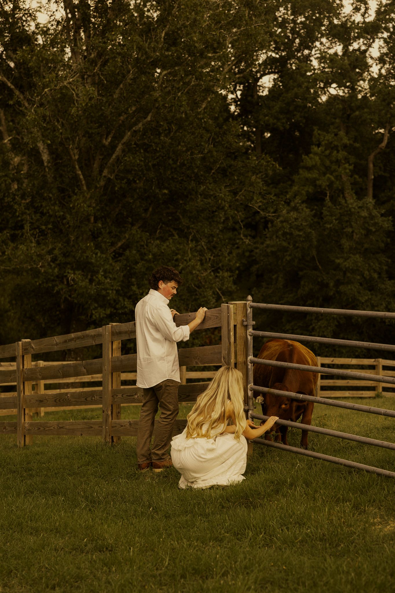 Couple interacting with a brown horse at a wooden fence on a lush green farm at dusk.