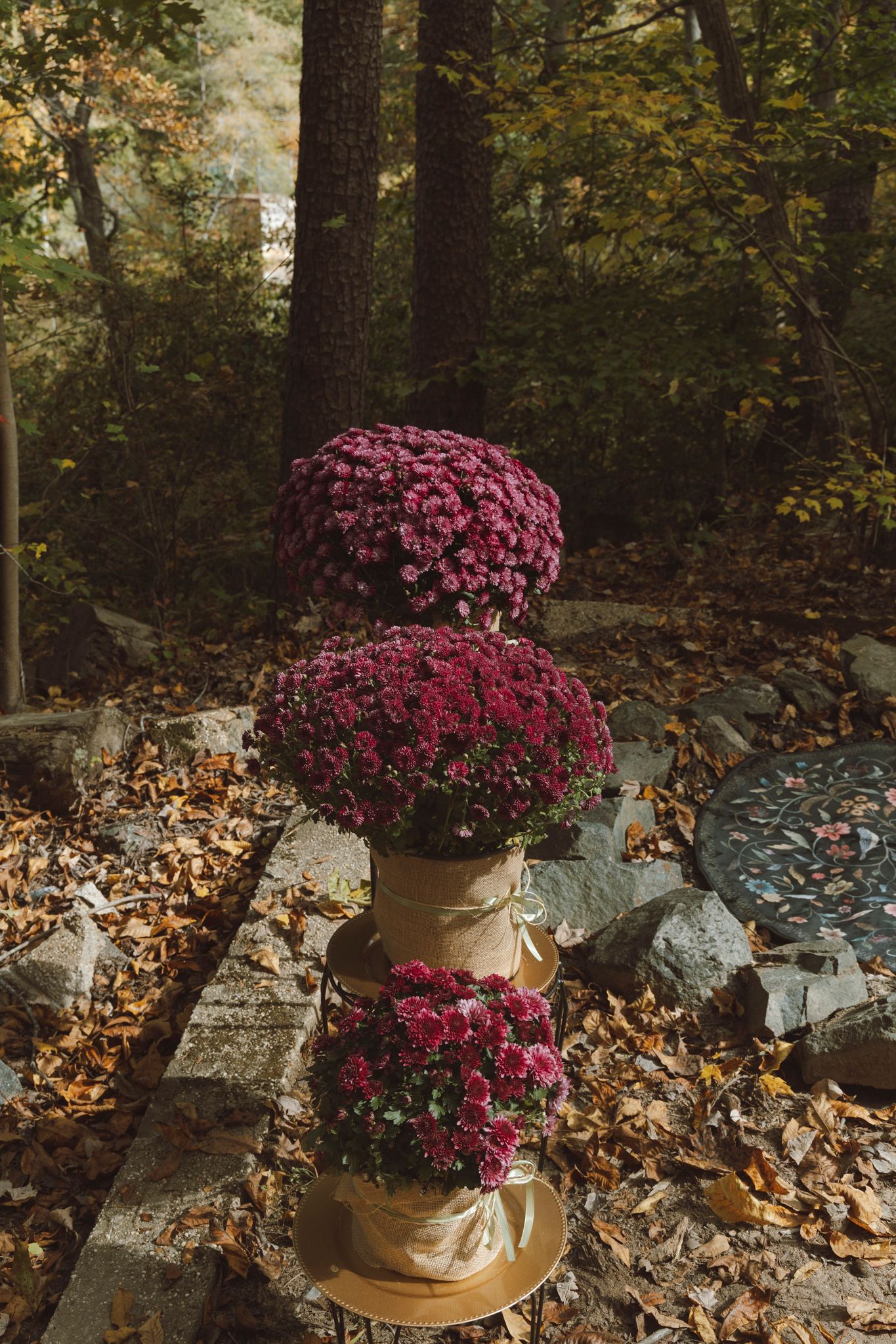 A large pot of vibrant purple mums decorates an outdoor stone wall surrounded by fallen autumn leaves.