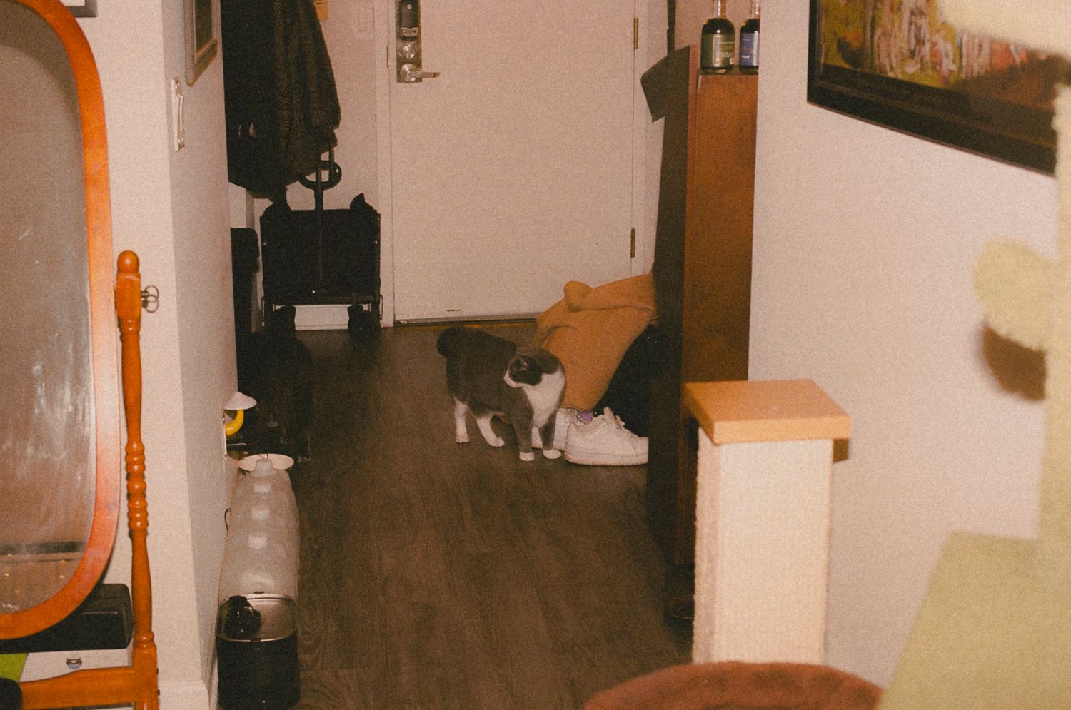A vintage-style film photograph shows a warm-toned interior hallway with multiple doorways and wall decor.