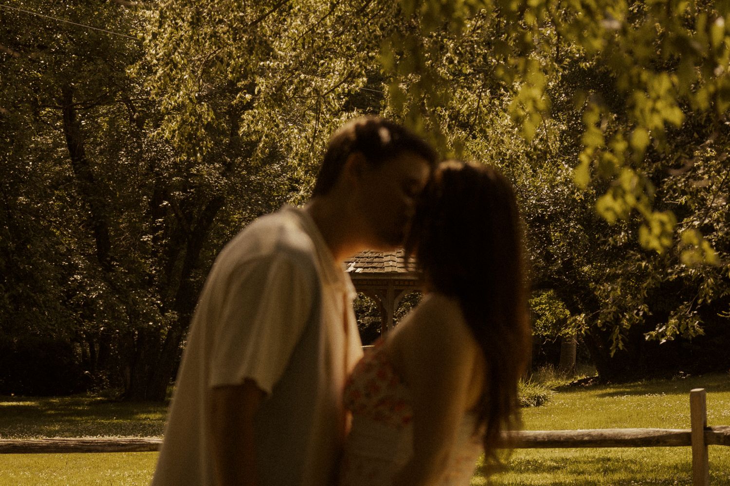 A couple shares a romantic kiss outdoors, surrounded by lush green trees in a sunlit park setting.