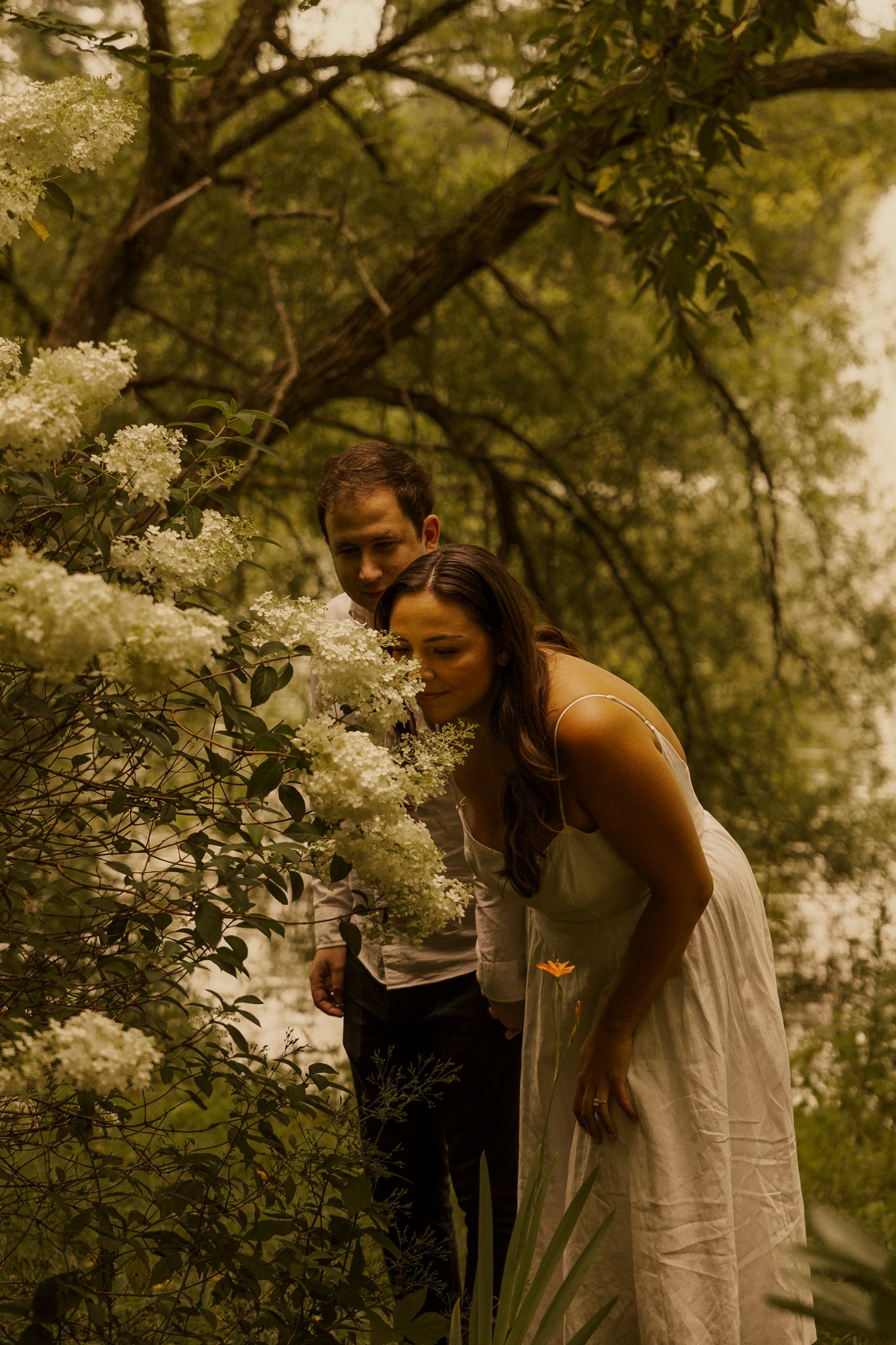 A couple leans over white blooming flowers in a lush green garden, woman in white dress, man behind her.