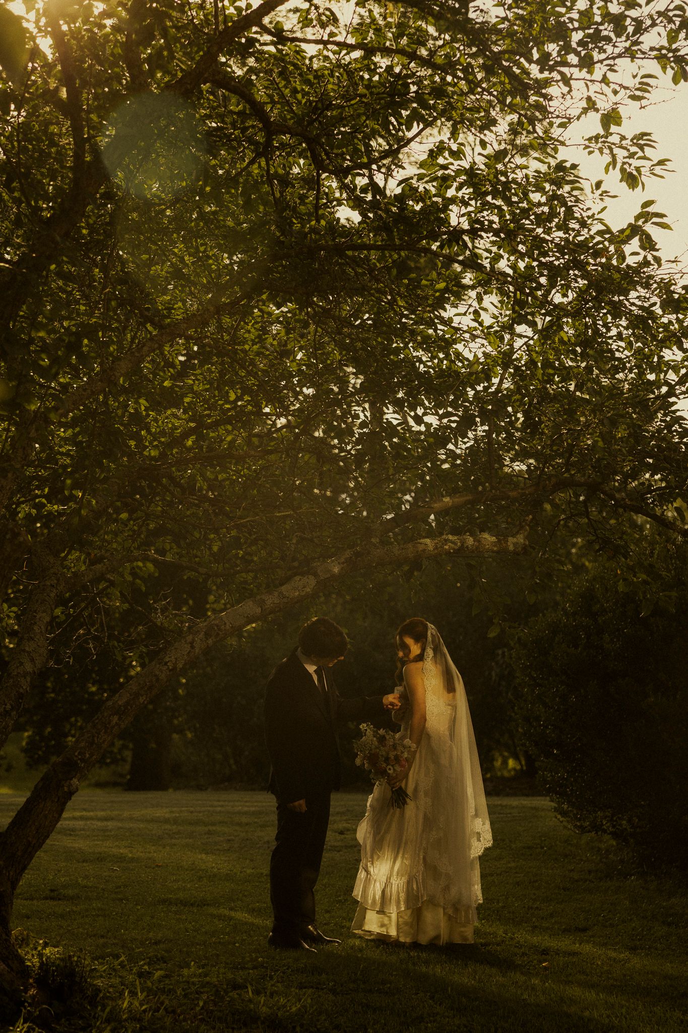 Bride and groom share a romantic moment under lush green trees in golden sunset light during outdoor wedding ceremony.