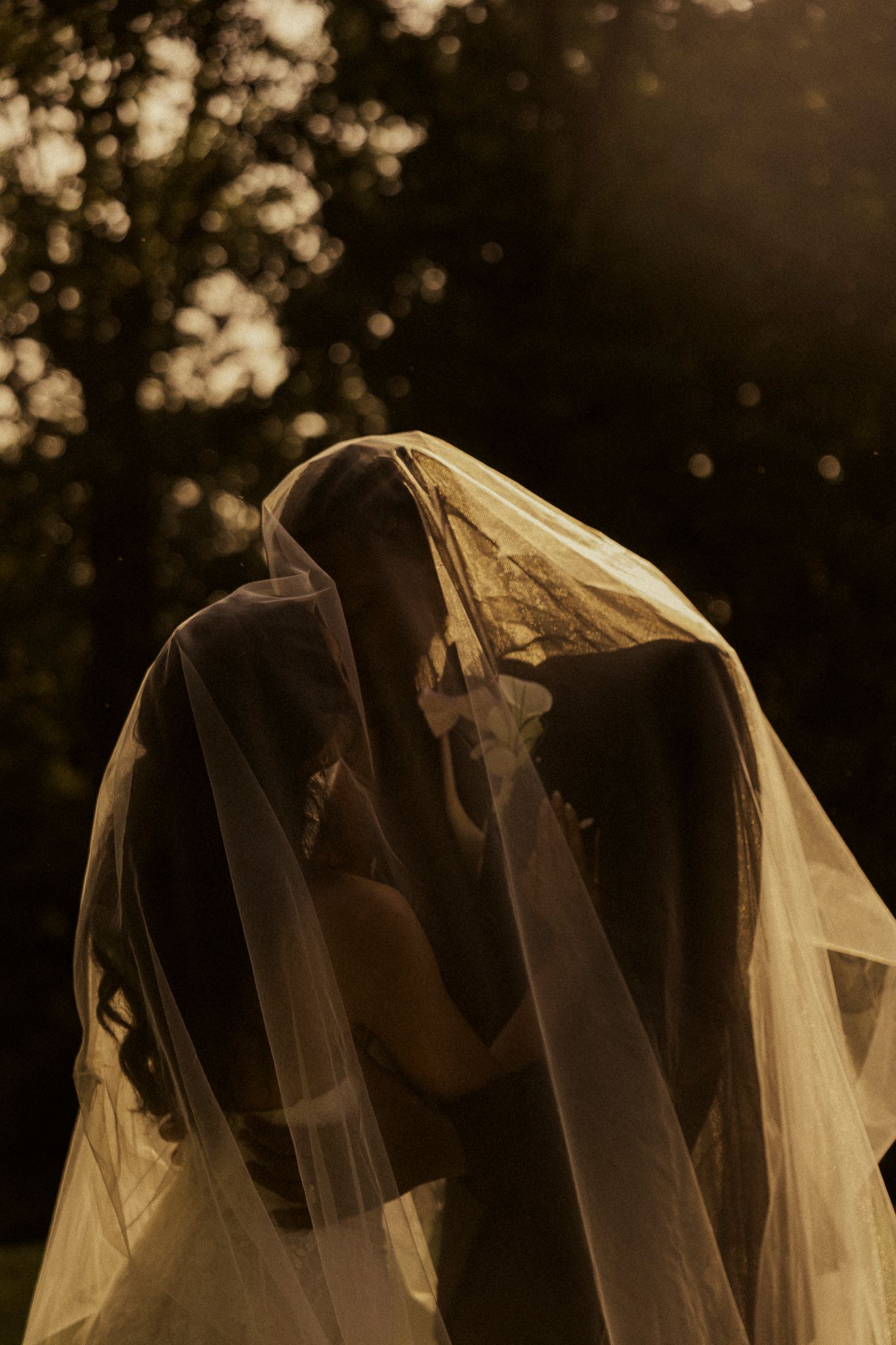 A bride and groom share a romantic kiss beneath a flowing wedding veil in warm golden sunset light.