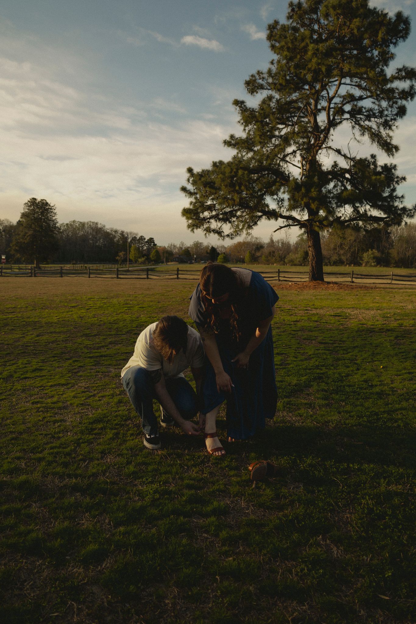 Couple bending down together in a sunlit green field with a large pine tree at golden hour.