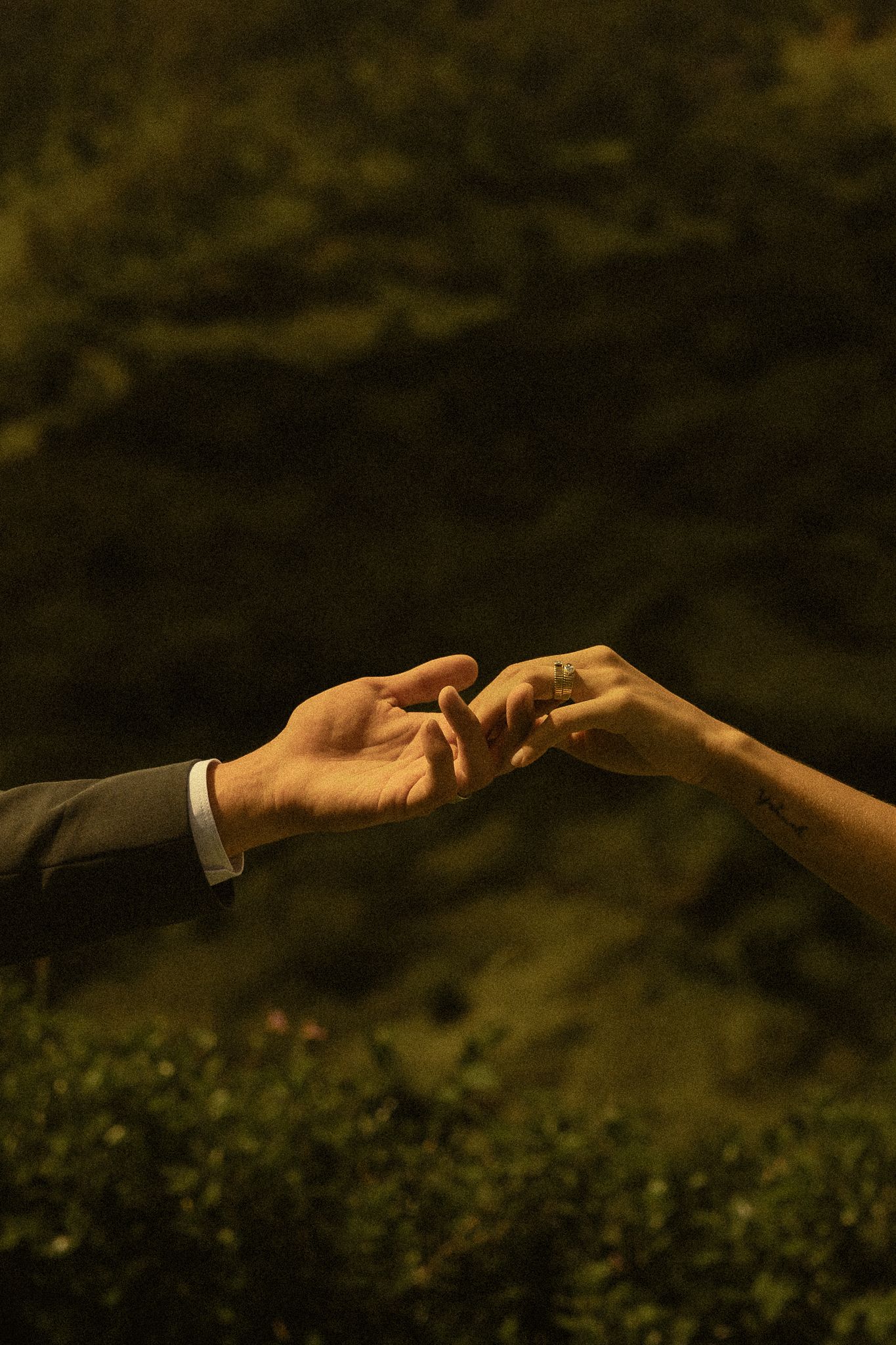 Two hands gently touching fingertips against a dark green foliage background, one wearing a suit sleeve.