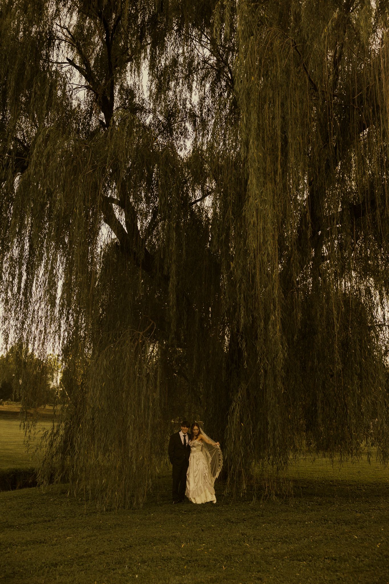 Bride and groom embracing under a dramatic weeping willow tree at dusk during their wedding day.