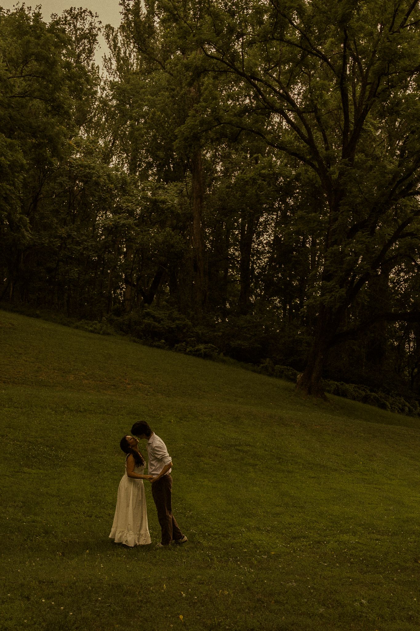 A couple embraces romantically on a lush green hillside surrounded by tall trees in a dreamy, moody outdoor setting.