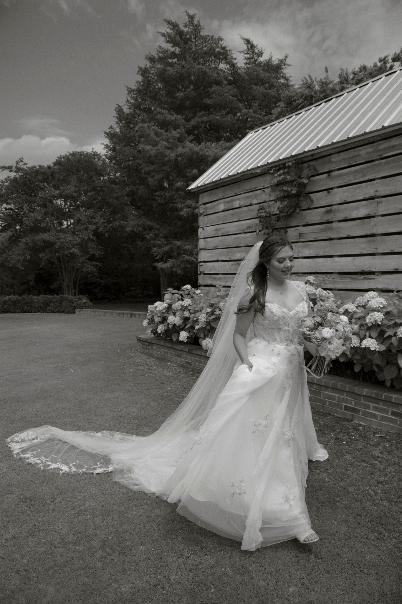 A bride in a flowing white gown and veil twirls gracefully next to a rustic barn with hydrangeas blooming nearby.