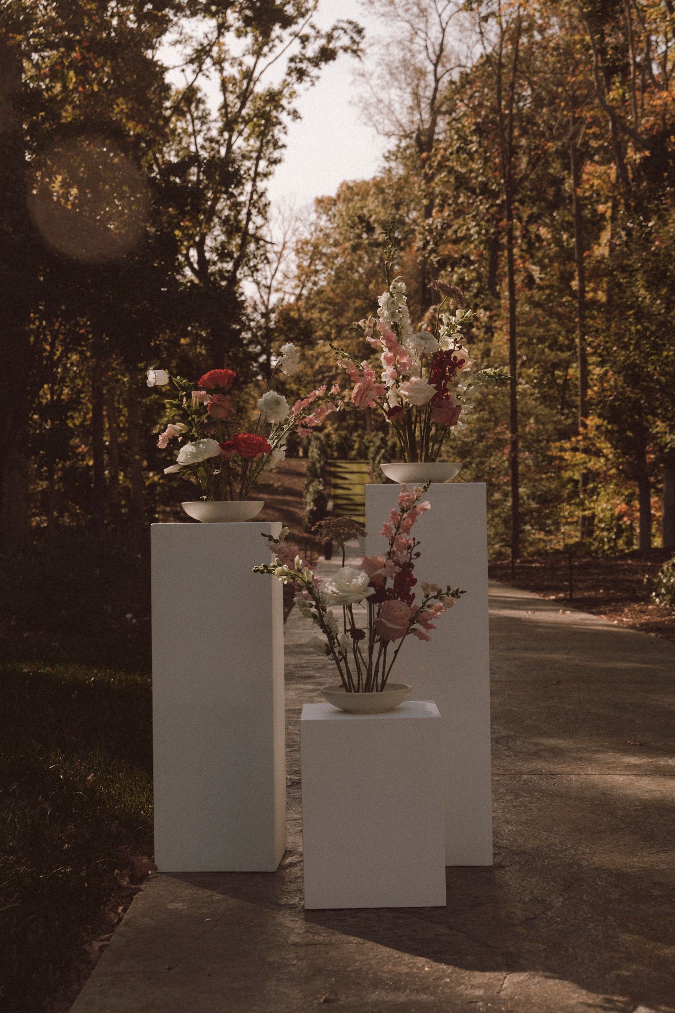 A series of white geometric planters with pink flowers arranged along a wooded path at sunset.