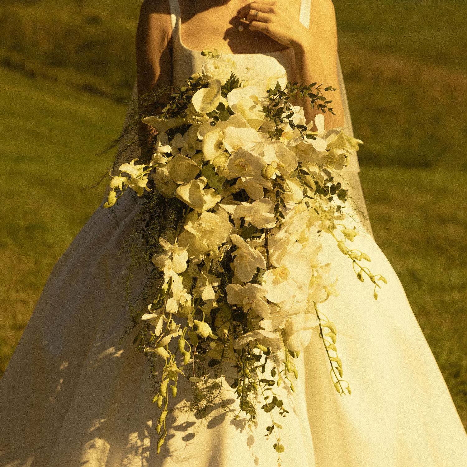 Bride in a white gown holds a cascading bouquet of white orchids and greenery while standing in a sunlit grassy field.