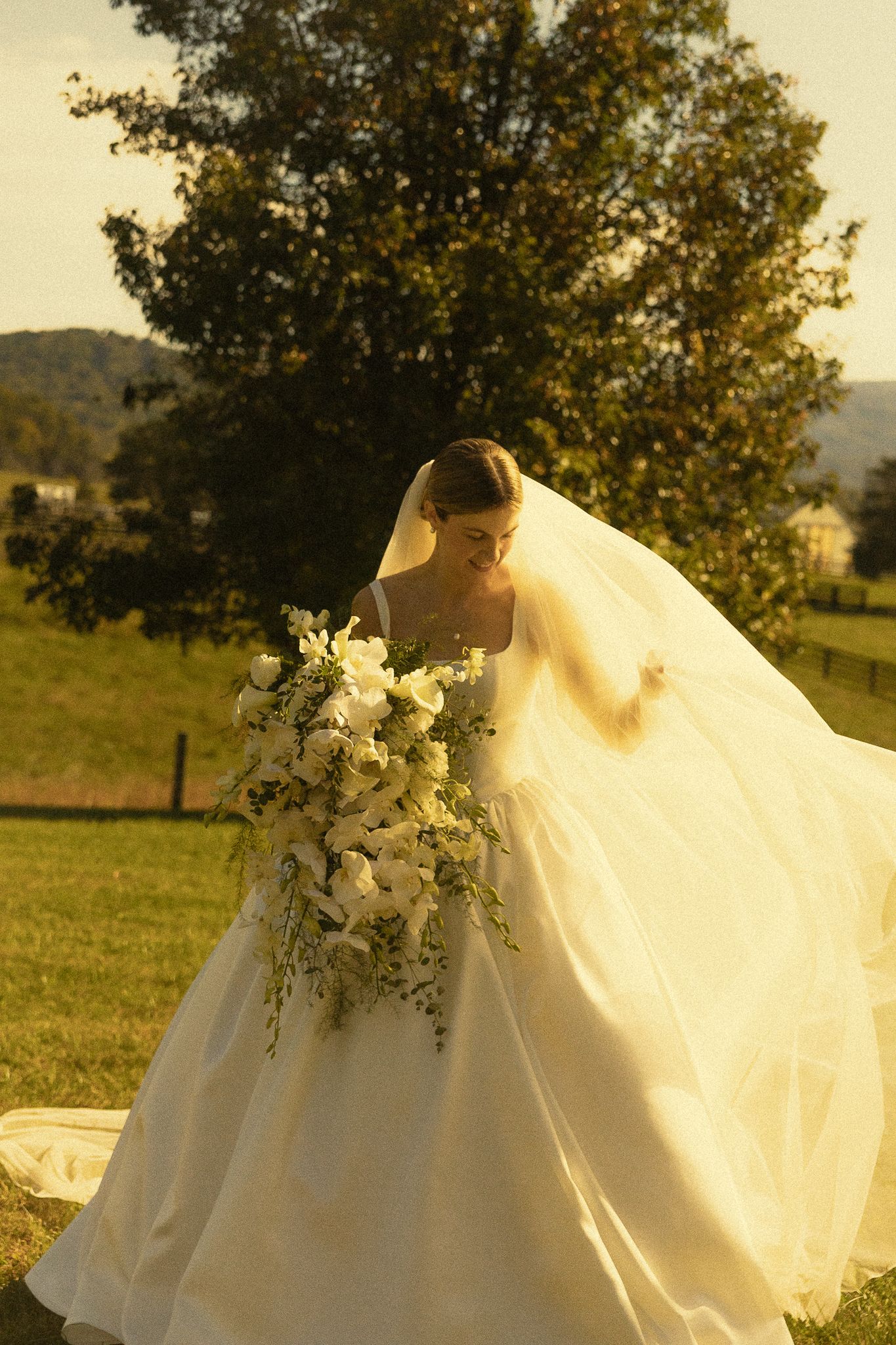 Bride in a flowing white gown and veil holds a large white floral bouquet while walking through a sunlit grassy field with a tree behind.