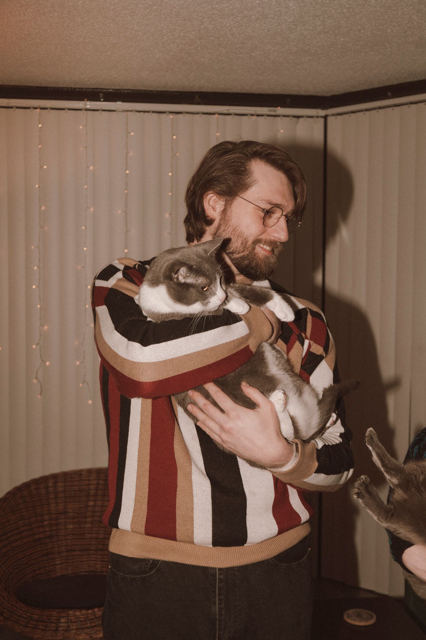 A person wearing a striped sweater holds and cuddles with a grey and white cat in a dimly lit room with string lights.
